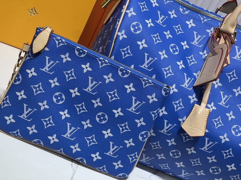 LV Travel Bags